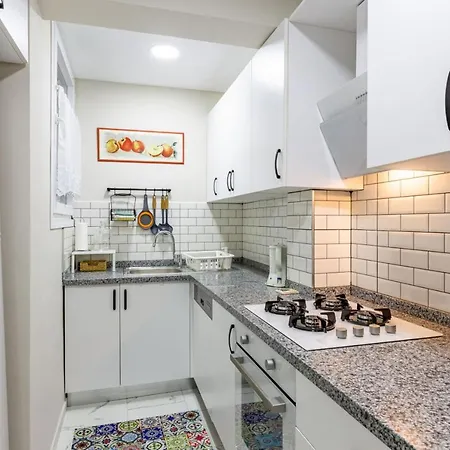 Central Flat Near The Bosphorus Shore In Uskudar * Istanbul